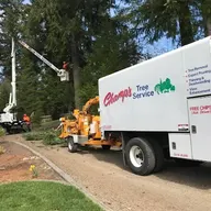 Champ's Tree Service logo