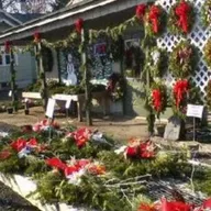 Biondi's Florist and Greenhouses logo