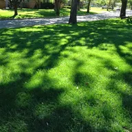 Air Capital Lawn Service LLC logo
