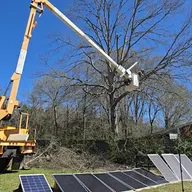 We trim tall trees logo