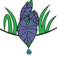 Nature's Turf Lawns, Ponds and Water Features logo