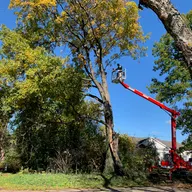 Juan's Tree Removal LLC logo