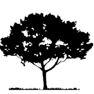 Dreamscapes Turf And Landscape logo