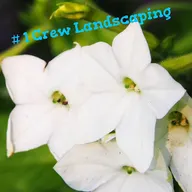 # 1 Crew Landscaping logo