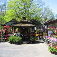 Mayberry's Nursery and Garden Center logo