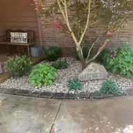 Trees Done Right by Brian logo