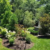 Dogwood Creek Landscapes Inc. logo