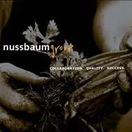 Nussbaum Group logo