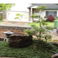 Taro's Garden logo