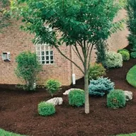 RidleyslandscapingLLC logo