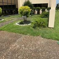 Scott's Lawn Care Management LLC logo