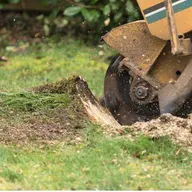 Sergiu Stump Grinding logo