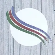 Rodas MC Multi-Services LLC logo
