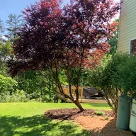 Tri-State Landscaping Plus logo