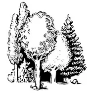 Coker Grounds LLC logo