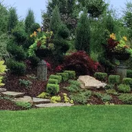 Saenz Yard Service logo