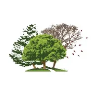 RYAN-JAMES LANDSCAPE MANAGEMENT, LLC logo