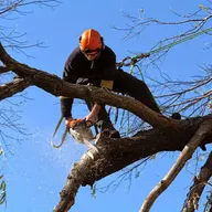 South West Brush Removal, Land Clearing & Tree Service logo