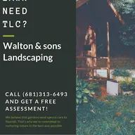 Walton & Sons Landscaping logo