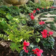 The Planted Stone Landscape & Hardscape logo