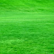 Premier Landscape Services logo