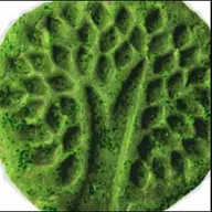 The Gardener's Touch, Inc logo
