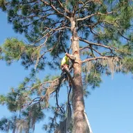 J & L Tree Service, LLC logo