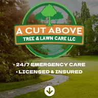 A Cut Above Tree & Lawn Care logo