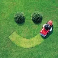 ALG Handyman & Lawn Services logo