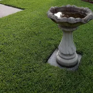 Palmetto Yard and Home Services LLC logo