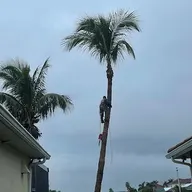 RLTC Inc. Tree Service and Lawn Care logo