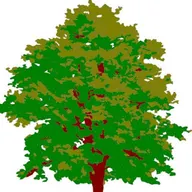 Stevenson Tree & Lawn Care logo