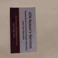 ATN Nelson's Services logo