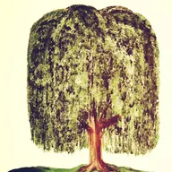 Willow Creek Landscaping & Tree Service logo