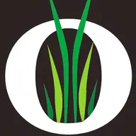 Opening Day Lawn & Landscape LLC logo