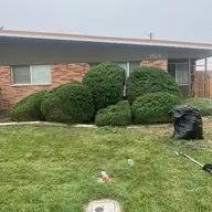 Bumblebee lawn care & curbing logo