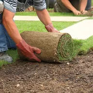 Hofmann Landscaping logo