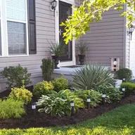 Country Green Professional Landscaping logo