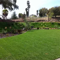 Riggs Landscaping logo