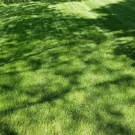 Mitchell's Turf Service, LLC. logo