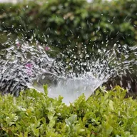 Lacey Backflow & Irrigation LLC logo