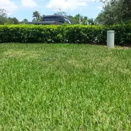 Florida's Green Thumb Lawn & Pest Control logo