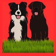 Lawless Southern logo