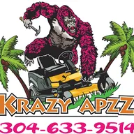 Krazy Apzz inc logo