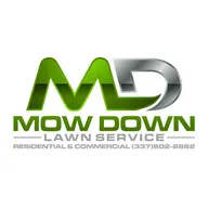 Mow Down Lawn Service L.L.C. logo