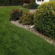 Ed's Lawn Care & Maintenance logo