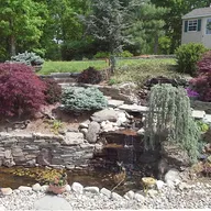 Landscape Designer Vic Meadows logo