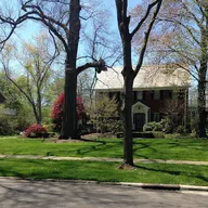 Lewis Landscaping logo