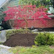 Francisco Landscaping & Construction logo