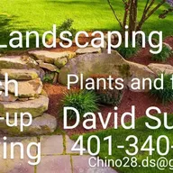 DS LANDSCAPING LLC logo